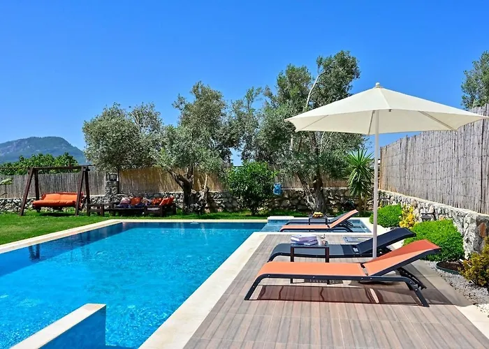 Villa Karya Luxury - With Private Pool For 6 People In Hisaroenue Fethiye